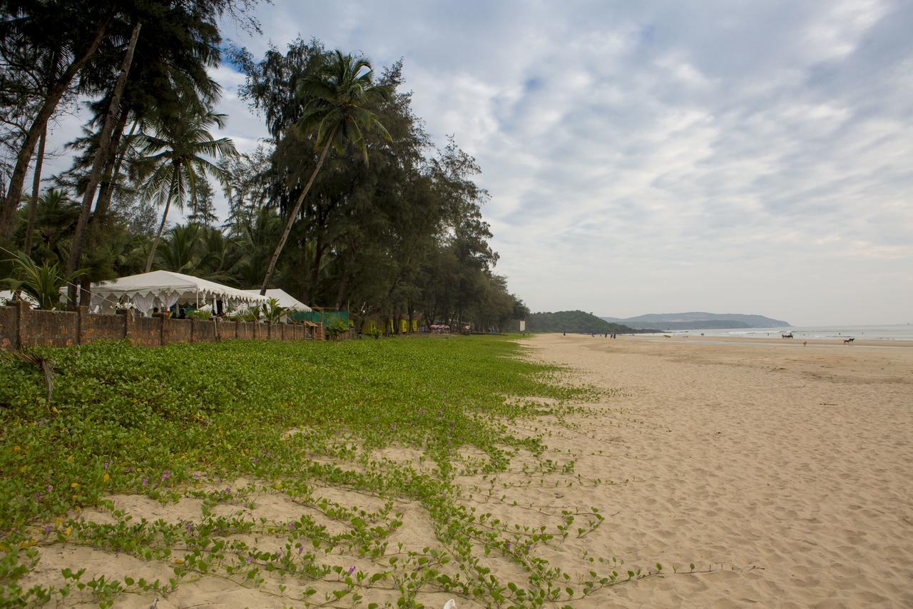 Talpona Paradise Beach House Canacona Exterior foto